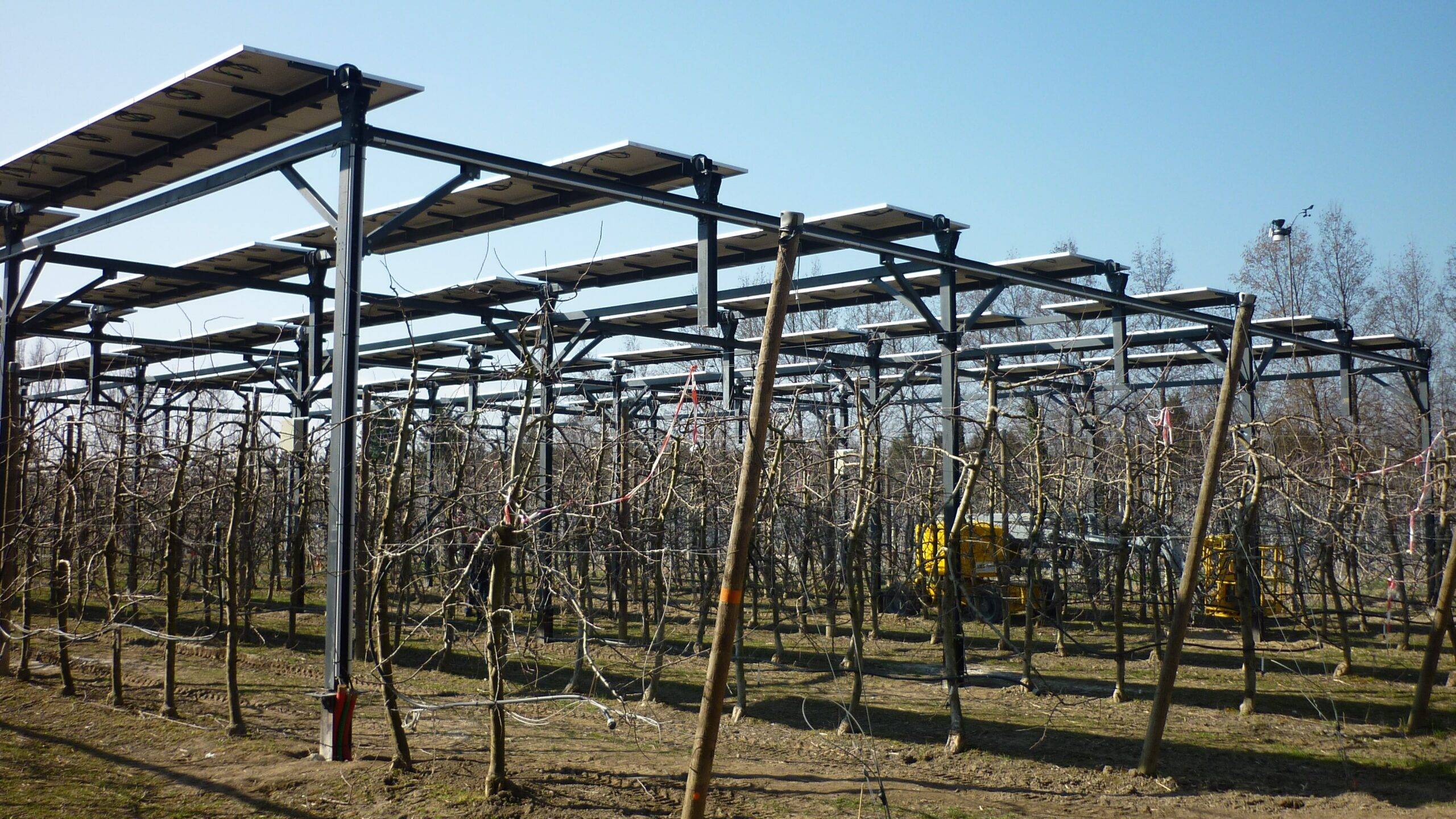 manzanas-energia-solar-agrivoltaico|huerto solar de melfosurect|manzanas-energia-solar-agrivoltaico|manzanas-energia-solar-agrivoltaico